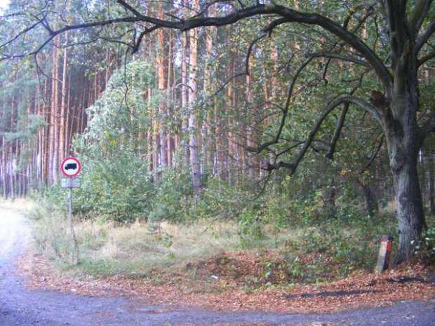 miejsce spoczynku żołnierzy niemieckich (skrzyżowanie drogi szutrowej do Barcikowic z drogą asfaltową do Jarogniewic)