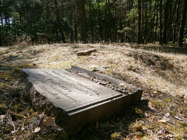 pozostałości przedwojennego cmentarza w Barcikowicach