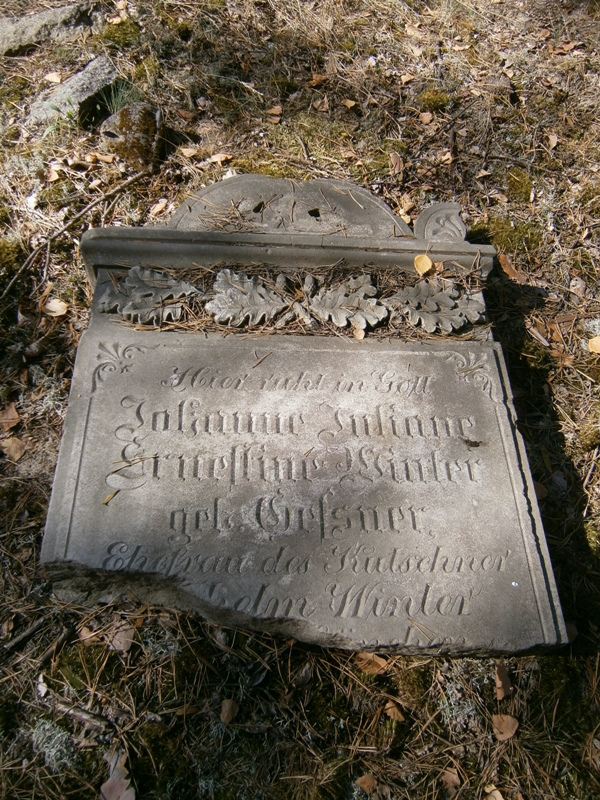 pozostałości przedwojennego cmentarza w Barcikowicach