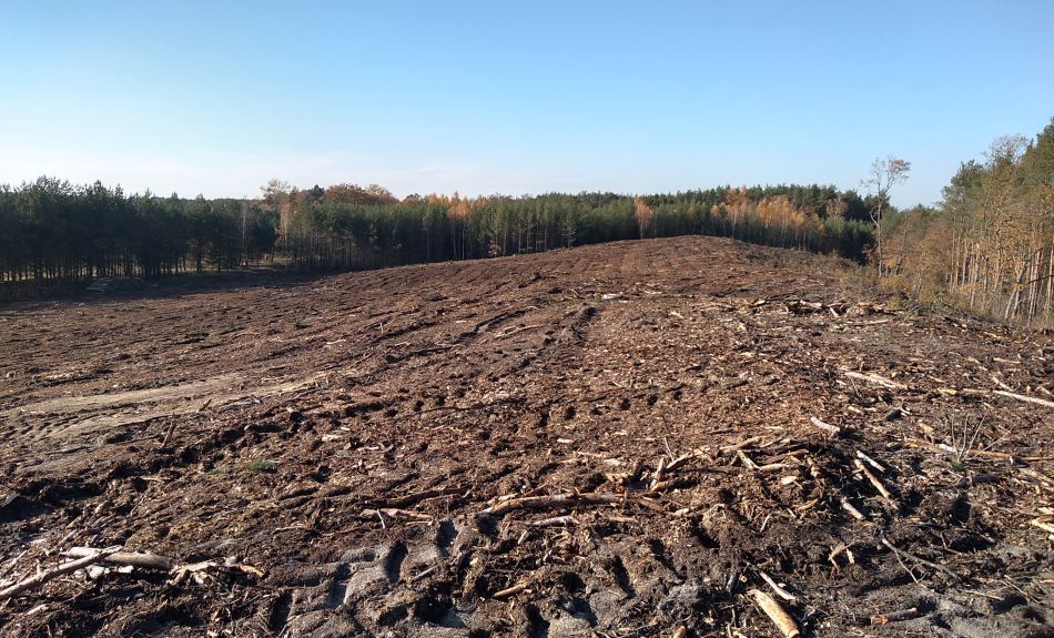 Prace porządkowe pod odtwarzany las w Barcikowicach