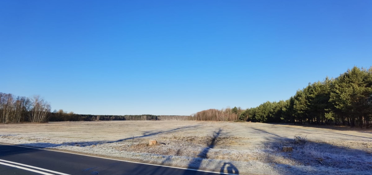 Działka przy DW 283 w Zielonej Górze-Barcikowicach, na której ma stanąć 312 domów